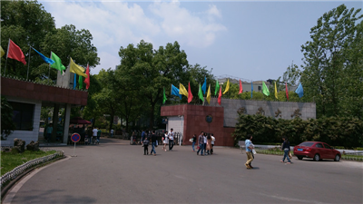 西南大学