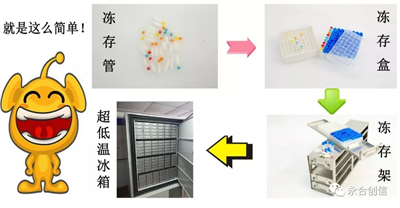 样本冻存解决方案之冻存架、冻存盒、冻存管